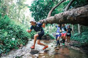 BIB: 
                            <button type="button" onclick="openModal(25371963)" class="btn btn-primary btn-sm float-right btn-popup" data-toggle="modal" data-target=".modal-high-quality">
                        <i class="fas fa-shopping-cart"></i> Add to Cart
                    </button>
                                            <button type="button" onclick="isThisMe(25371963, true)" class="btn btn-success btn-sm float-right btn-popup btn-isme hidden" data-toggle="tooltip" data-placement="bottom" title="นี่คือรูปของคุณใช่ไหม คลิกที่นี่เพื่อเอาเข้าอัลบั้ม">
                        <i class="fas fa-plus"></i> Add to album
                    </button>
                    <button type="button" onclick="isThisMe(25371963, false)" class="btn btn-warning btn-sm float-right btn-popup btn-isnotme hidden">
                        <i class="fas fa-ban"></i> Remove from album
                    </button>